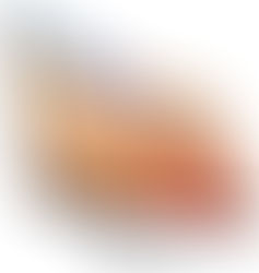 Hot Deals on Monitors & Computers