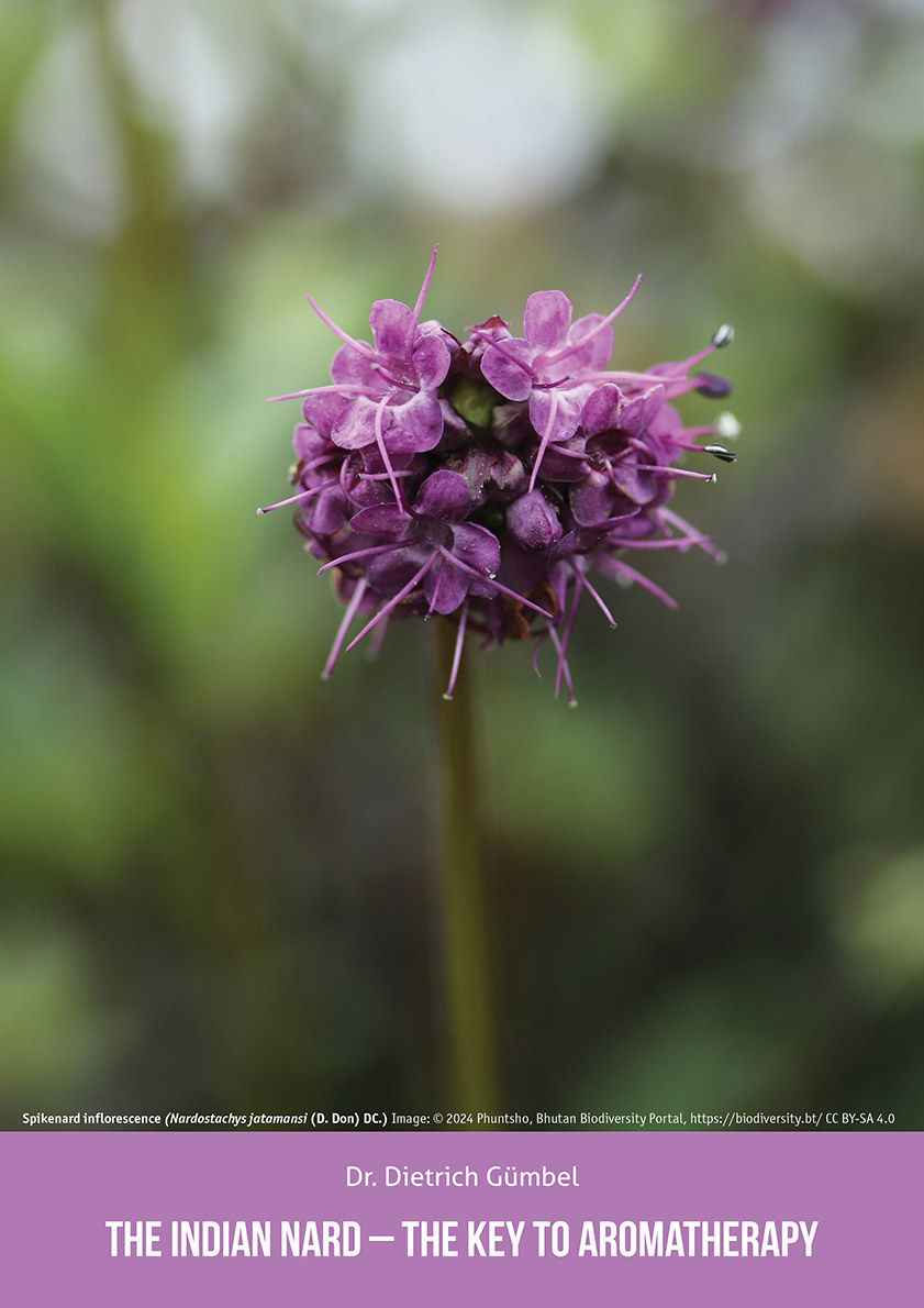 Thumbnail: Aromatika magazine 11.4. 2024. WINTER