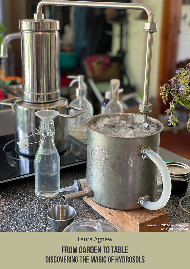 From garden to table –Discovering the magic of hydrosols By Laura Agnew