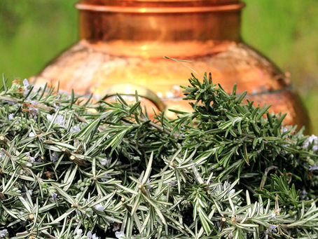 Artisan distillation – good knowledge is vital