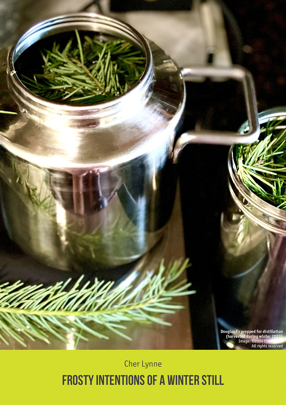 Thumbnail: Aromatika magazine 11.1. 2024. SPRING
