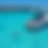 Thumbnail: Private Yacht Charter / Boat Rental - '29 FT - Catamaran - Deposit Only