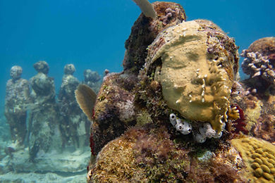 MUSADIVETOUR-PocnaDiveCenter-islamujeres