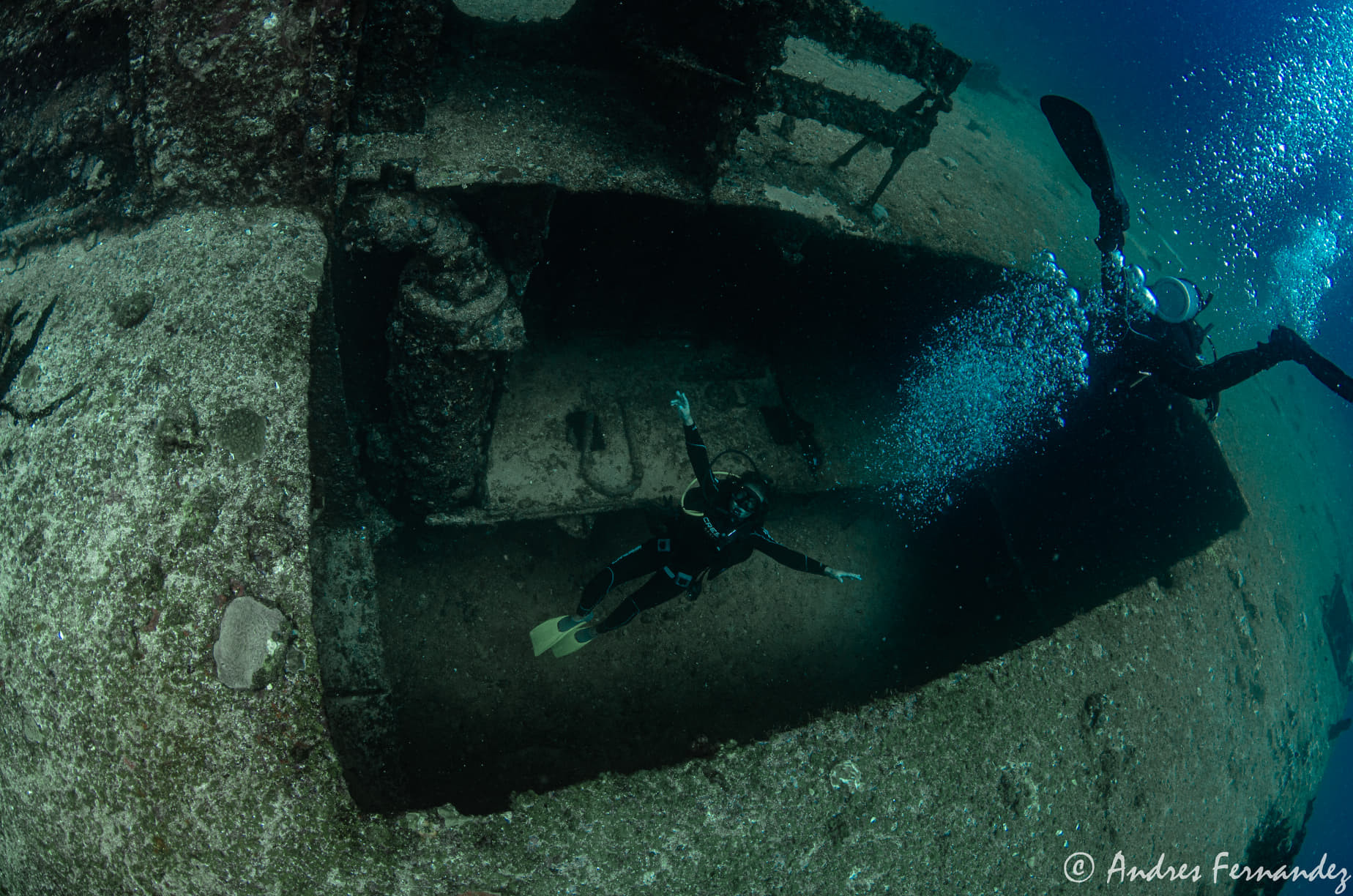 c58、koedomerukari C55 / C58 Wreck Dive | Taste of Isla | Flavors of Isla Mujeres, Mexico