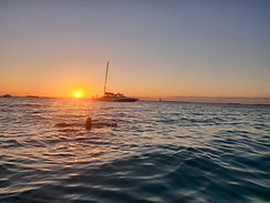 Cruise-Divers-tasteofisla-isla-mujeres-m