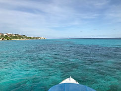 WhaleSharkTour2-tasteofisla-islamujeres-