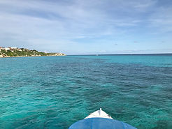WhaleSharkTour2-tasteofisla-islamujeres-