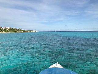 WhaleSharkTour2-tasteofisla-islamujeres-