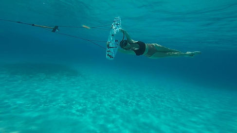 WING-DIVING-3Walk-A-Dog-Historic-Punta-S
