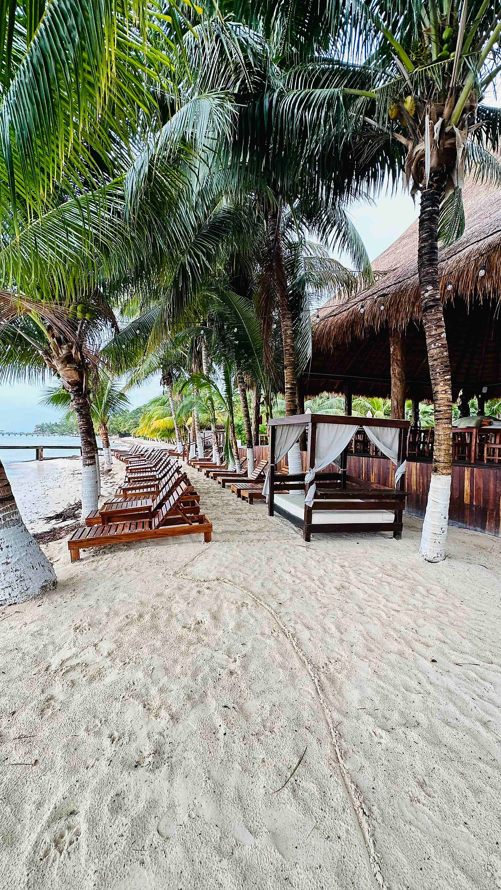 Thumbnail: All-Inclusive Premium Day Pass Reservation - ZAZA Yacht Beach Club