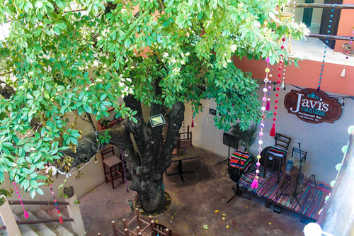 Javi's Cantina Table Reservations | Taste of Isla