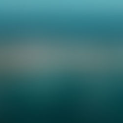 Isla Mujeres' International Fishing Tournament XIX 