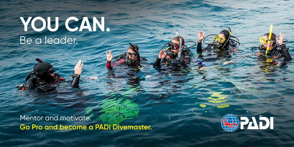 PADI Divemaster Certification - Aqua Adventures