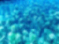 IslaMujeres-2.jpg