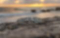 Omar-IM-tasteofisla-isla-mujeres-mexico-shop-store-order-online-whale-shark-jewlery.png