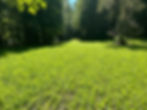 Thumbnail: Winter Graze Blend