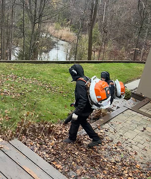 Advanced Fall Clean-up Photo.jpg