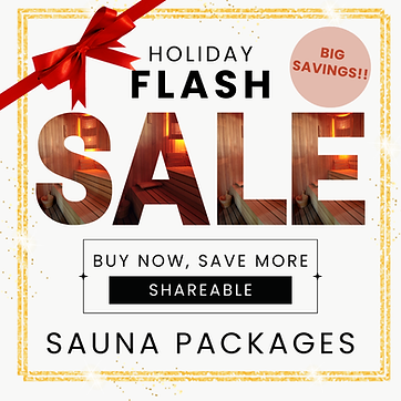 Holiday FLASH (3).png