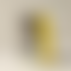 콜라겐부스터 비오틴