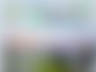 (주)비에스엠푸드