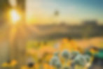 87729A2A-73F5-46DF-BC36-86F9B982C498_edited.jpg