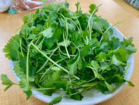 ベトナム料理フォー実食!(笑)