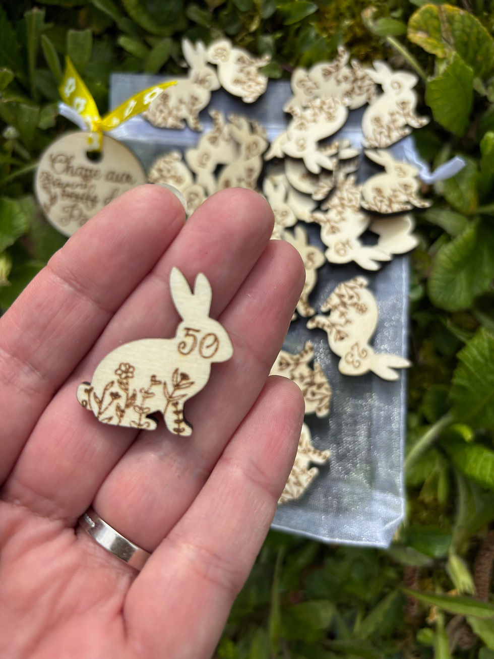 Miniature : Lapin de Pâques en bois à cacher
