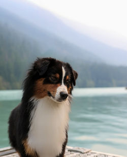 d1f35145-561c-4c48-ad17-1199eccb5560