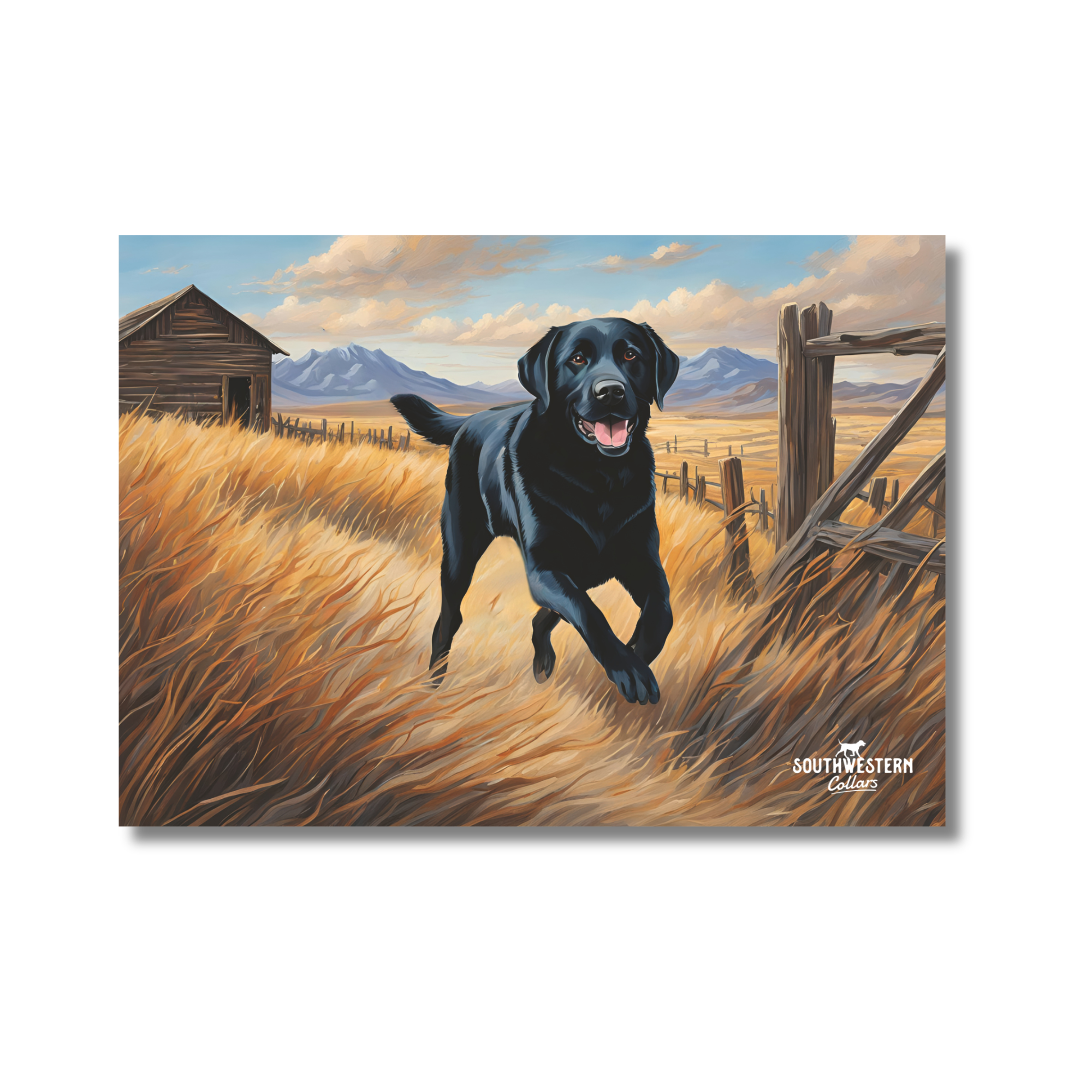 Postkarte mit schwarzem Labrador Retriever rennt in hohem Gras in Wild West Landschaft, links daneben sieht man ein Holzhaus