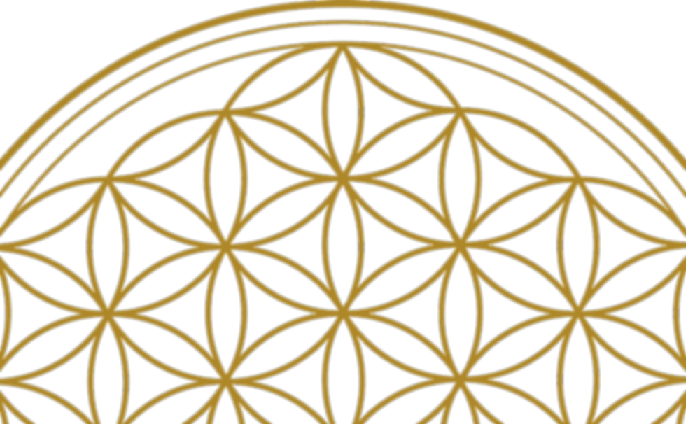 flower-of-life-g287ce8c95_1280_edited.png