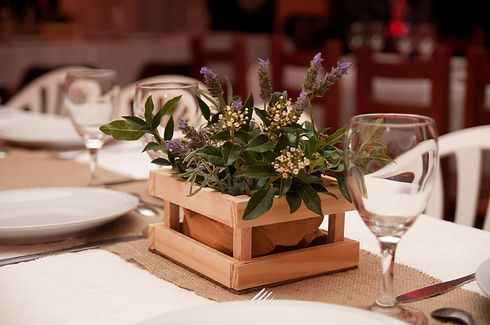 WhatsApp Image 2019-01-25 at 12.52.36 PM