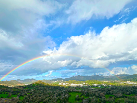 Bodrum’da Kıştan Bahara: Yağmur, Umut ve Hayat