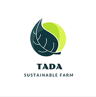 Tada Letterhead.png