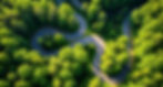 Screenshot 2025-08-04 at 3.35_edited.jpg