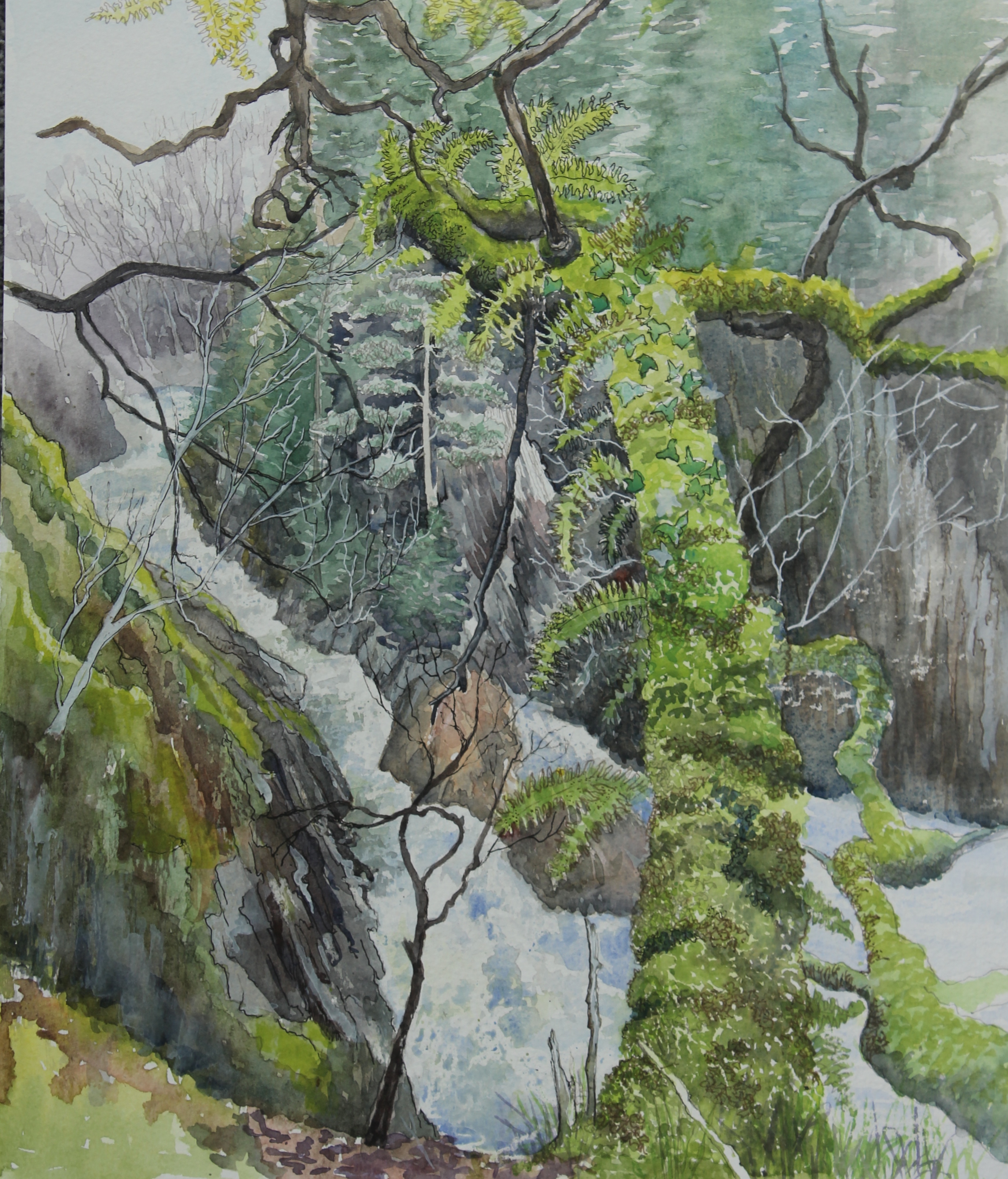 Conwy Falls