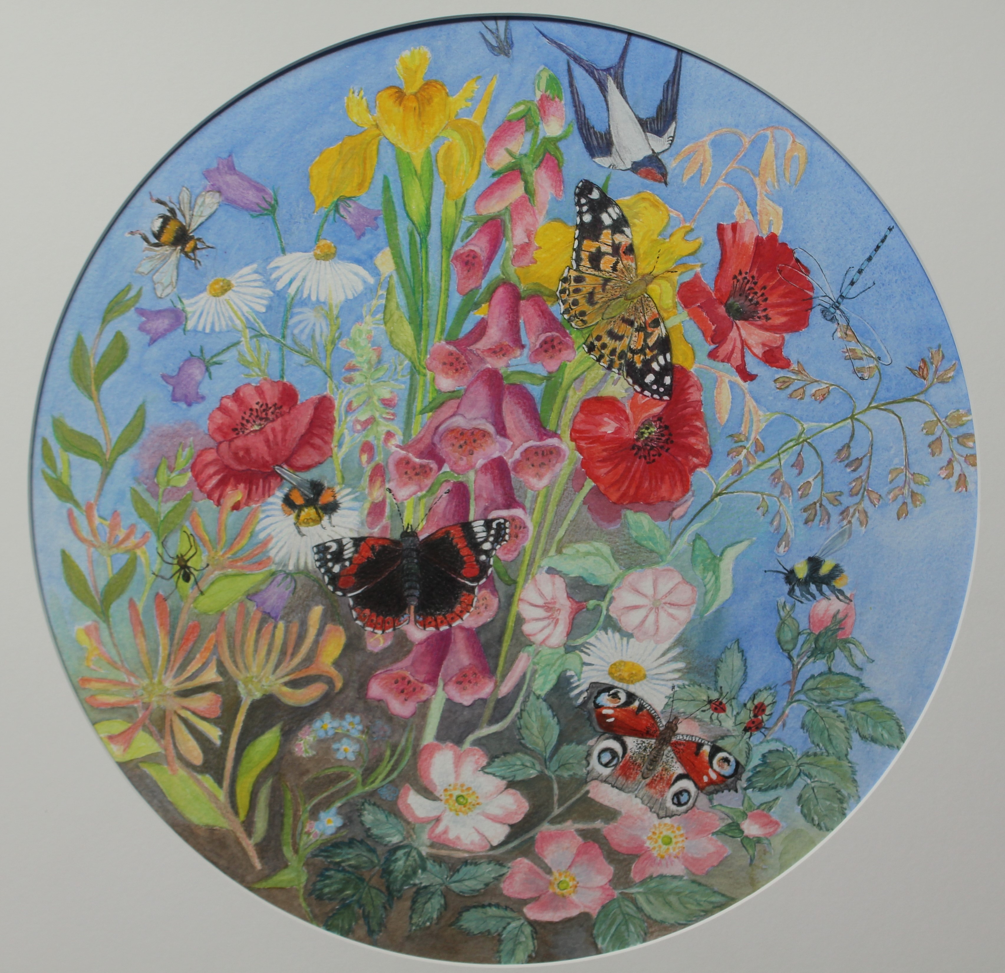 Butterflies