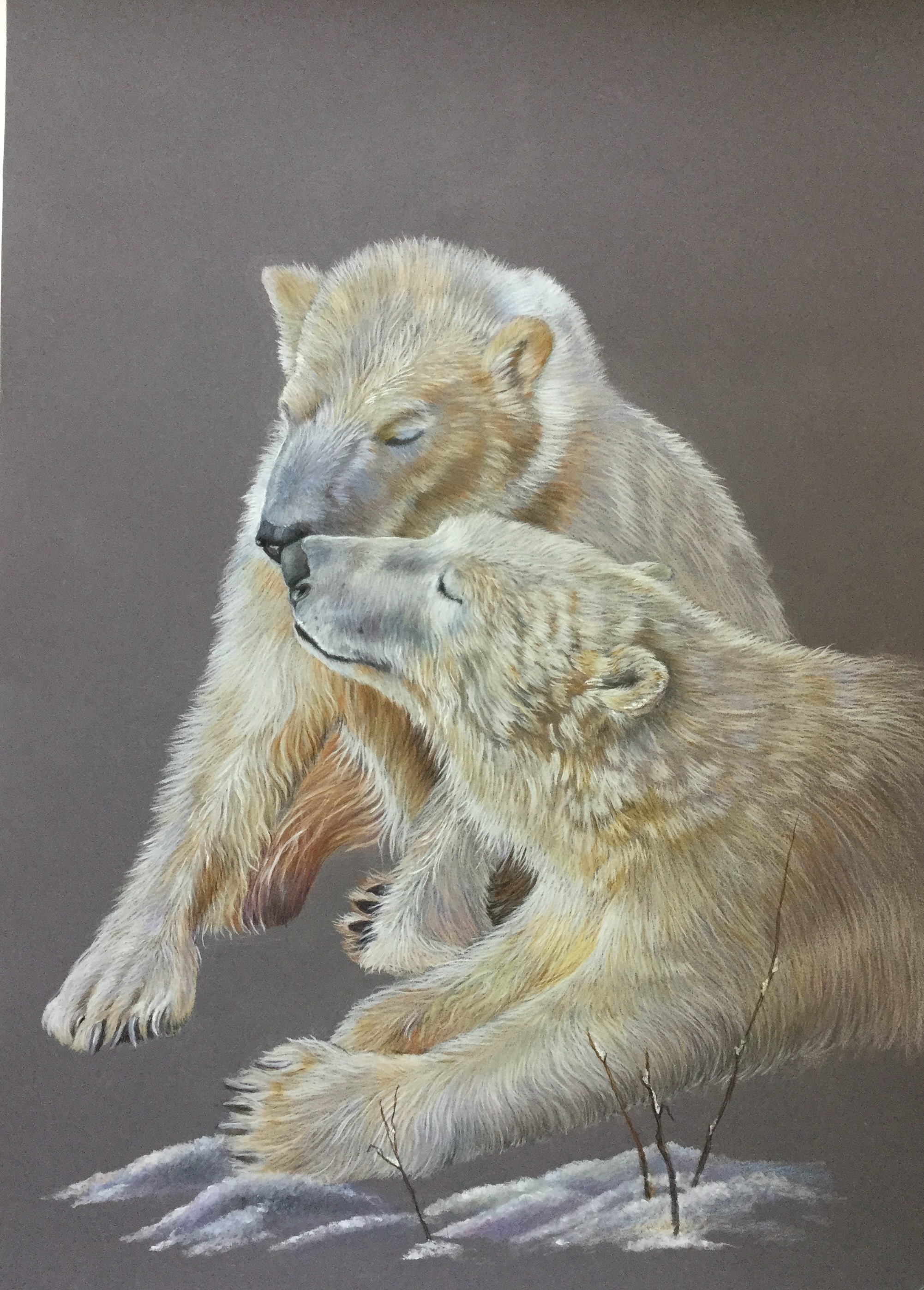Bears