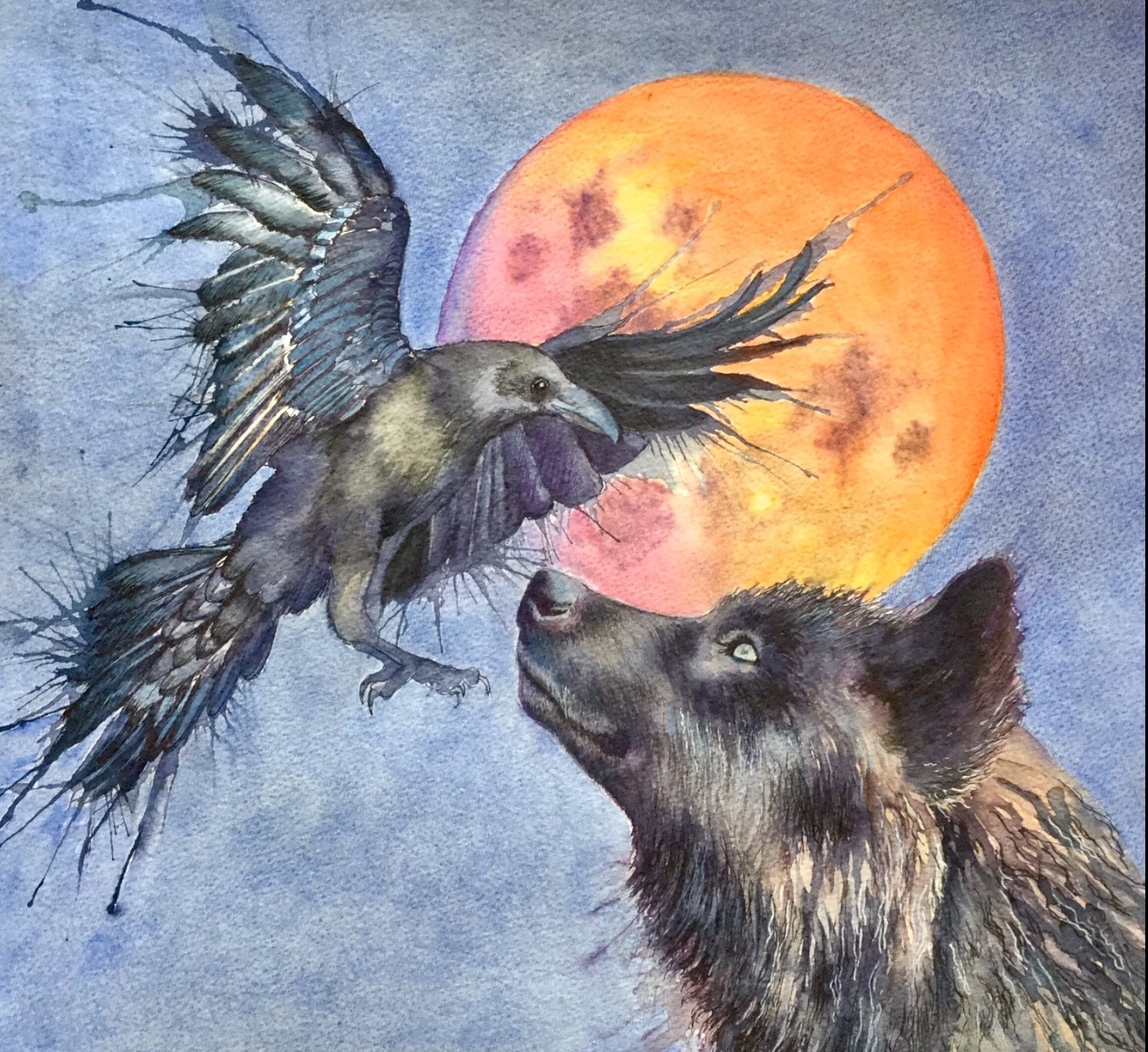 Wolf crow