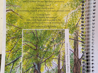 Earth Pathways Diary 2022
