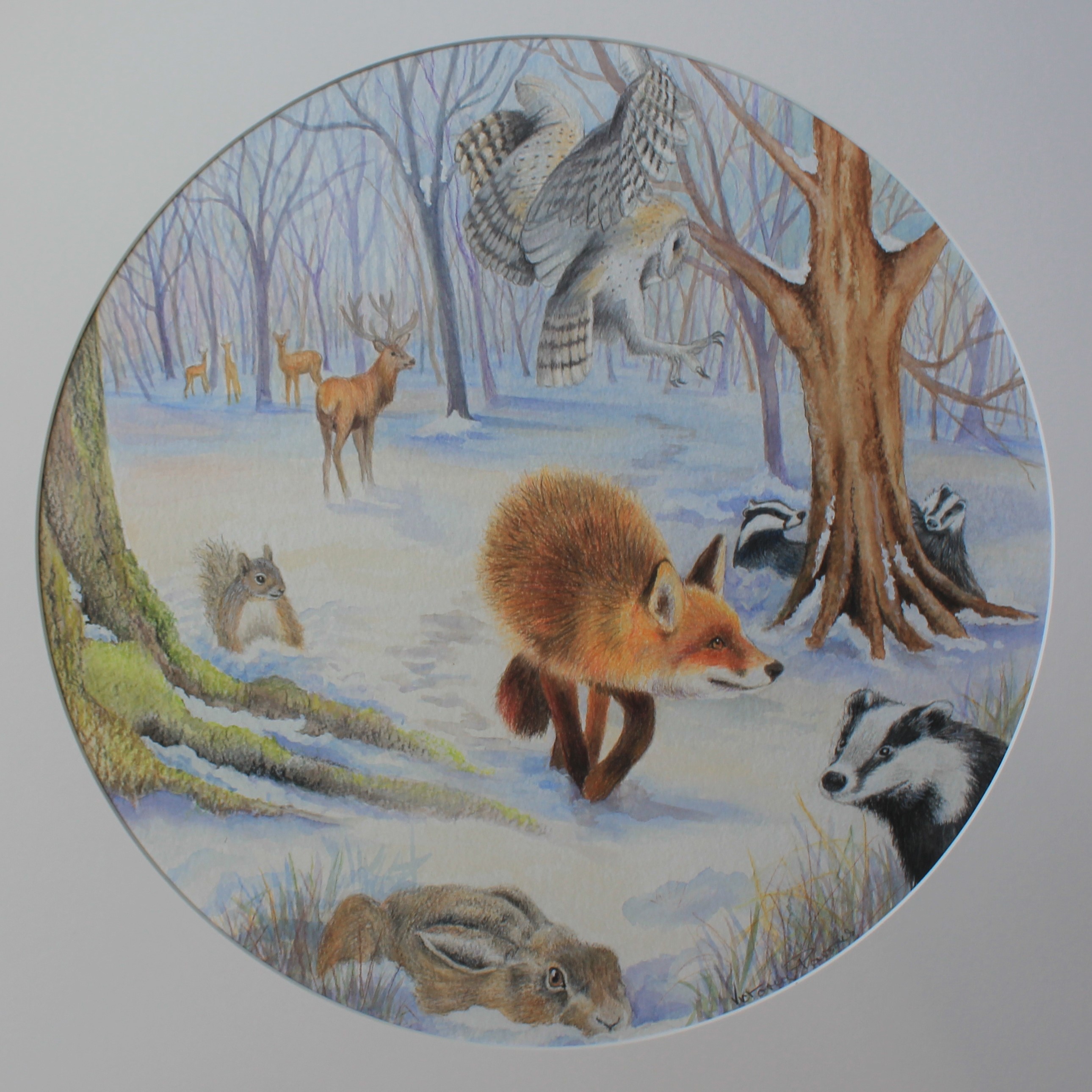 Fox