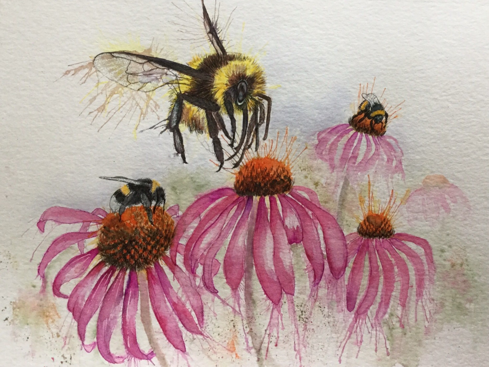 Bees 2
