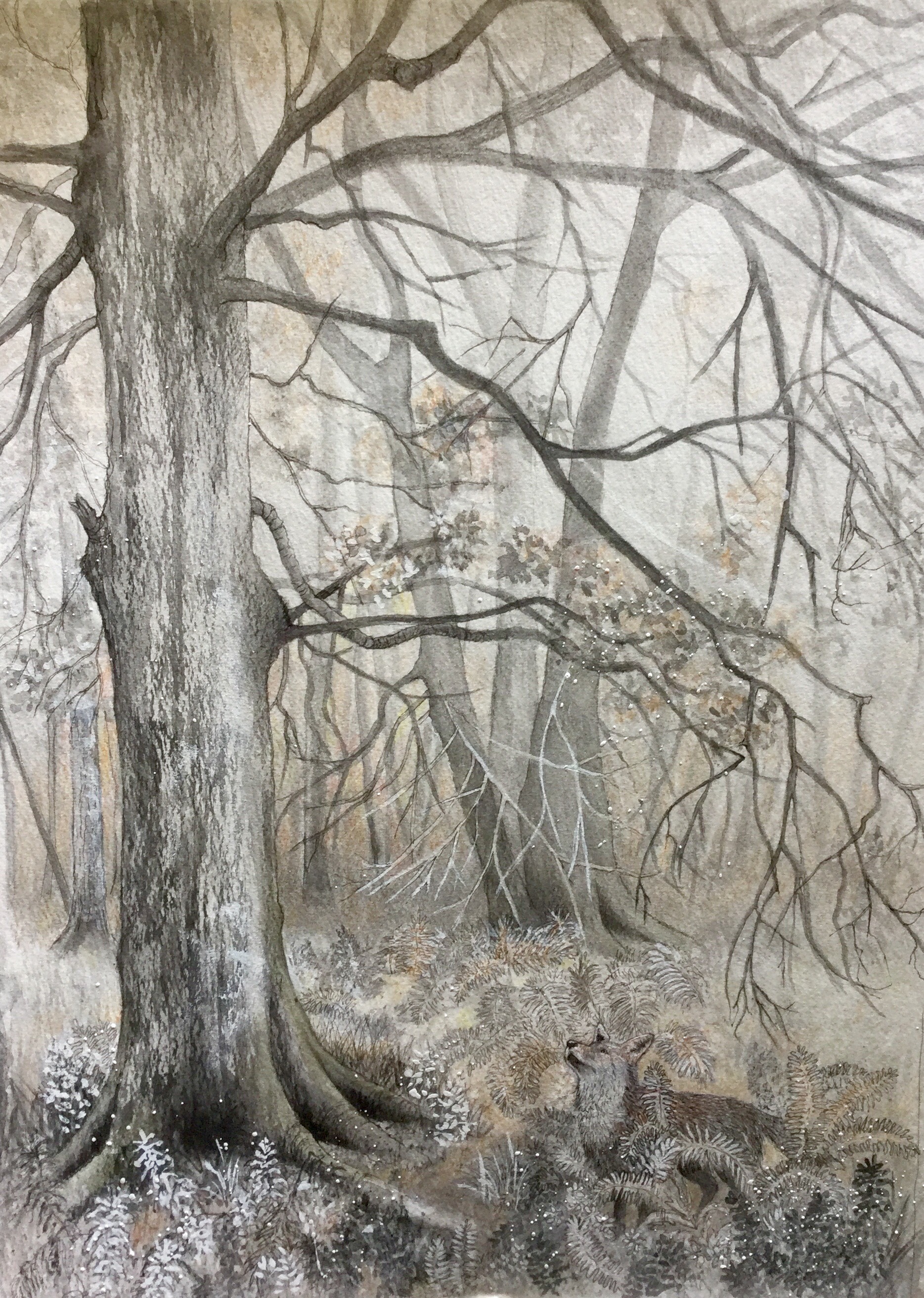 Autumn in the New Forest