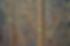 970586_10152983735305150_179073609_n.jpg