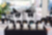 9123-edgewood2-250307.jpeg