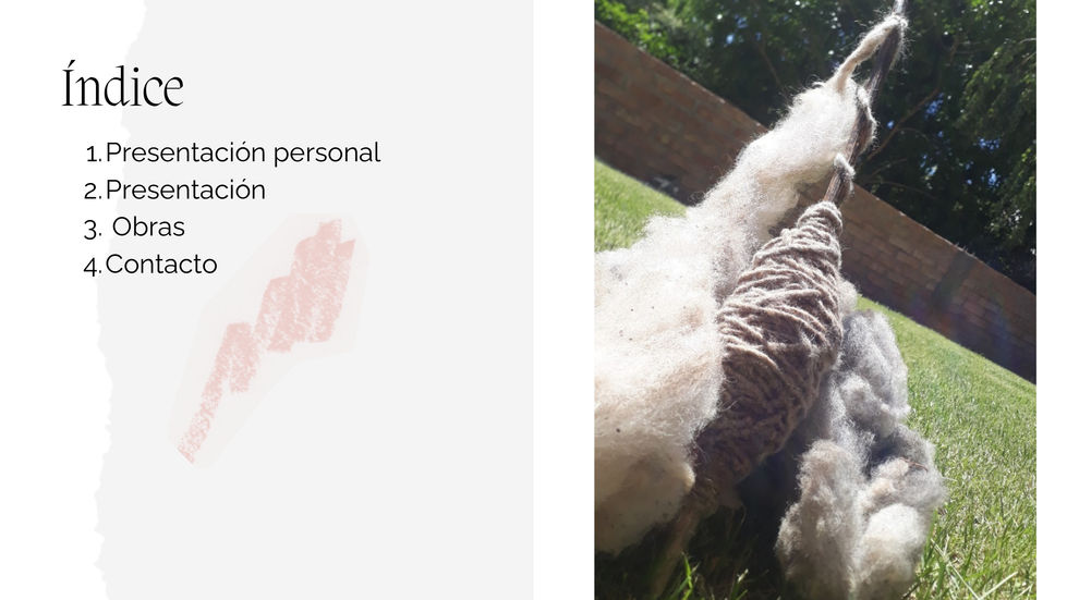 Dossier Artístico Anna Rojas _20250925_185434_0000_page-0002