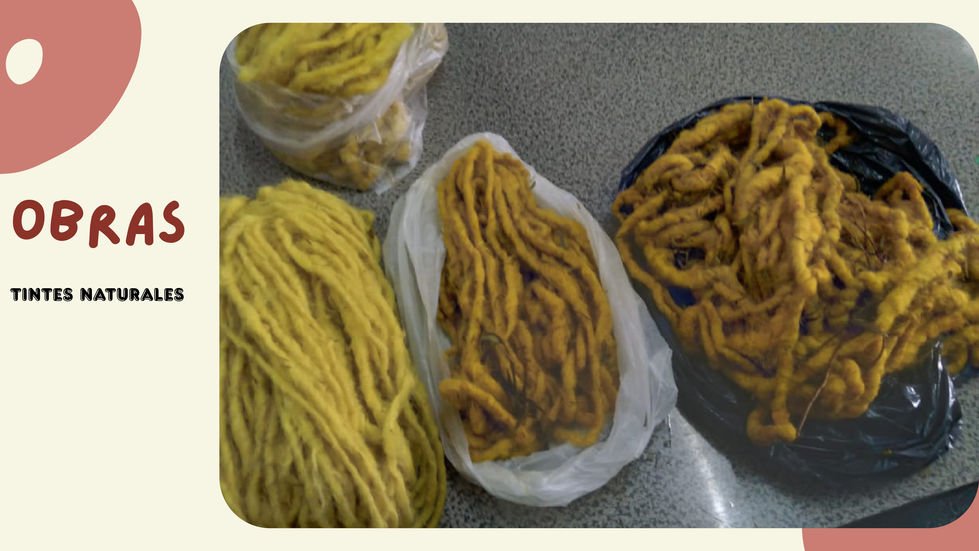 DOSSIER ALICIA DE LA VEGA_page-0005