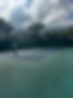 IMG_5339.JPEG