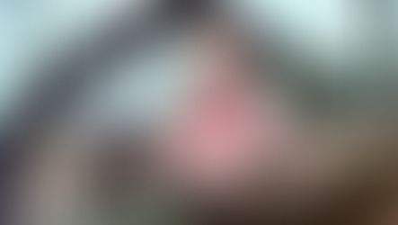 Episode 7: Mr. Pigeon