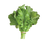 Thumbnail: MUSTARD LEAVES SARSU SAG INDIA 1 BUNCH