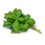 Thumbnail: SWEET BASIL THAILAND 100 GM